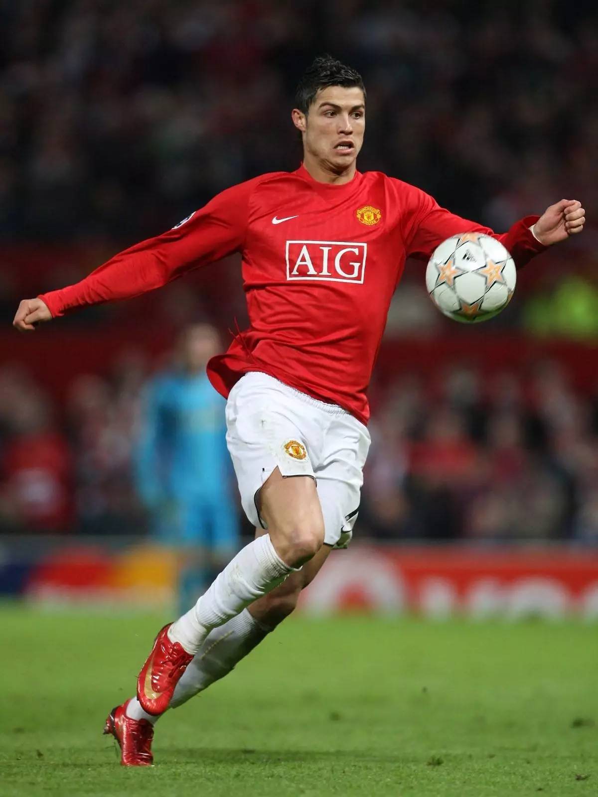 被冰封的这一年，梅努在等待一个懂他的人