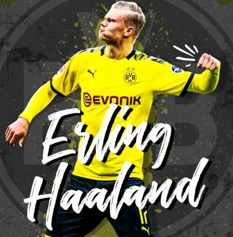 在NBA摸爬滚打，在发展联盟游刃有余